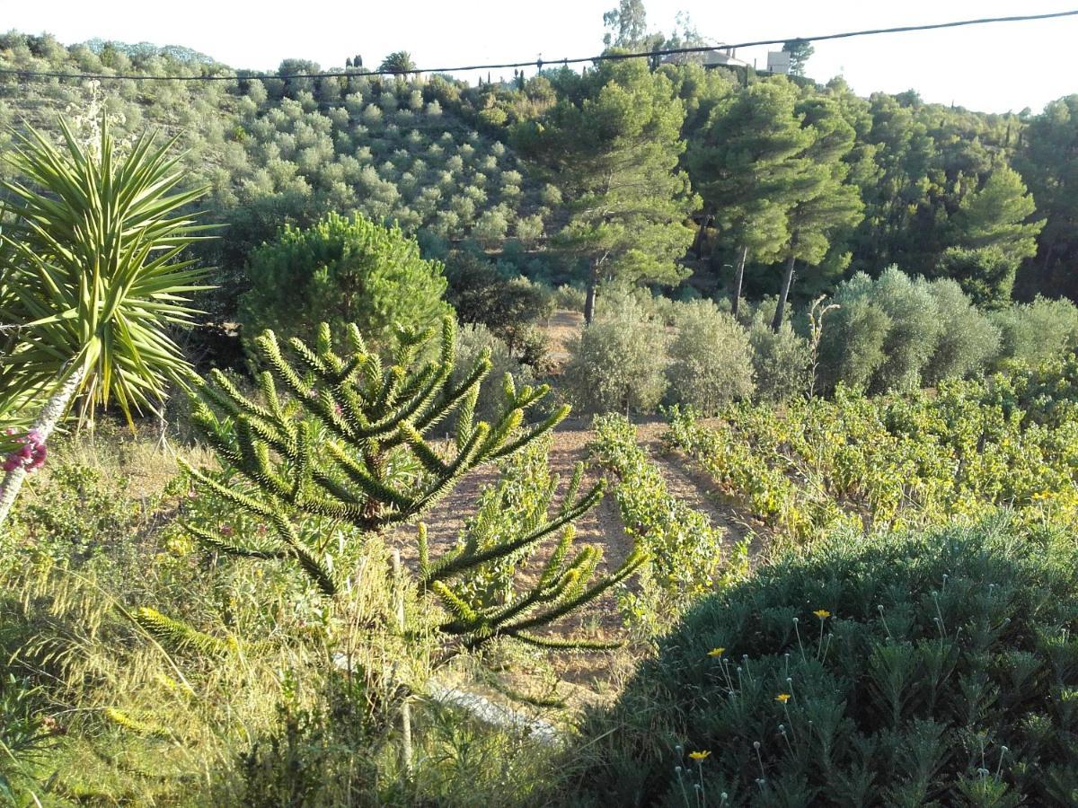La Bastide De L'Oliveraie Le Castellet  ภายนอก รูปภาพ