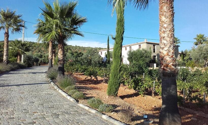 La Bastide De L'Oliveraie Le Castellet  ภายนอก รูปภาพ